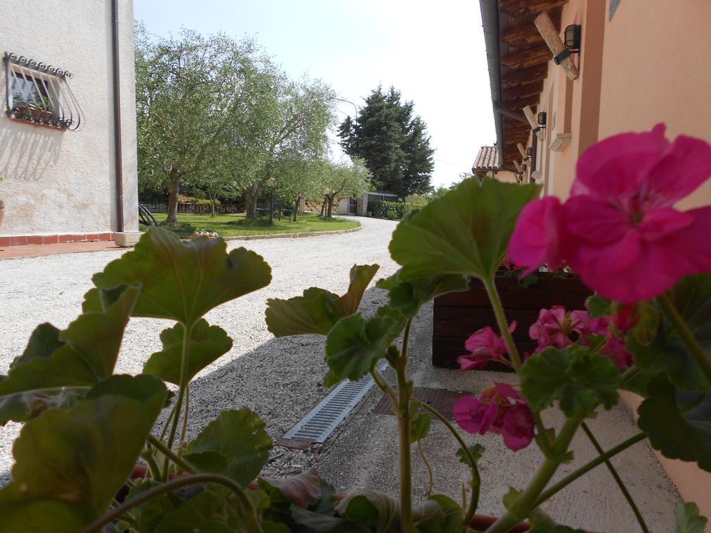 Вілла Santa Croce Fossato di Vico Екстер'єр фото